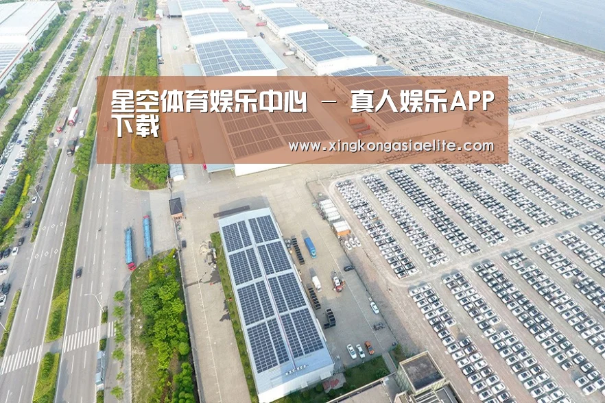 案例展示三