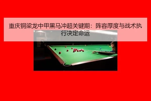 chong-qing-tong-liang-long-zhong-jia-hei-ma-chong-chao-guan-jian-qi-zhen-rong-hou-du-yu-zhan-shu-zhi-xing-jue-ding-ming-3-573.jpg
