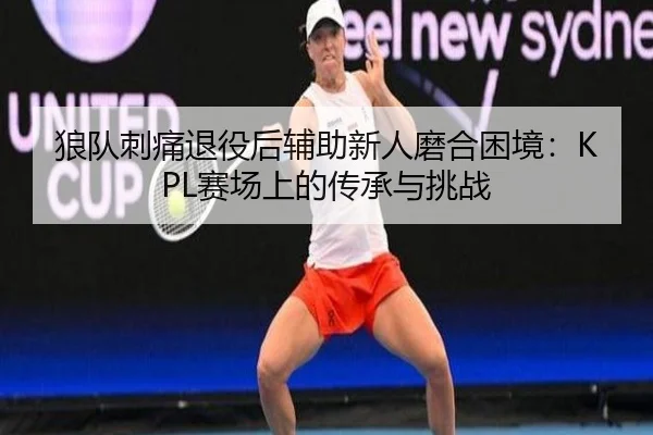 狼队刺痛退役后辅助新人磨合困境：KPL赛场上的传承与挑战