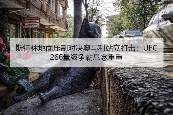 si-te-lin-di-mian-ya-zhi-dui-jue-ao-ma-li-zhan-li-da-ji-liang-ji-zheng-ba-xuan-nian-chong-chong-3-800.jpg