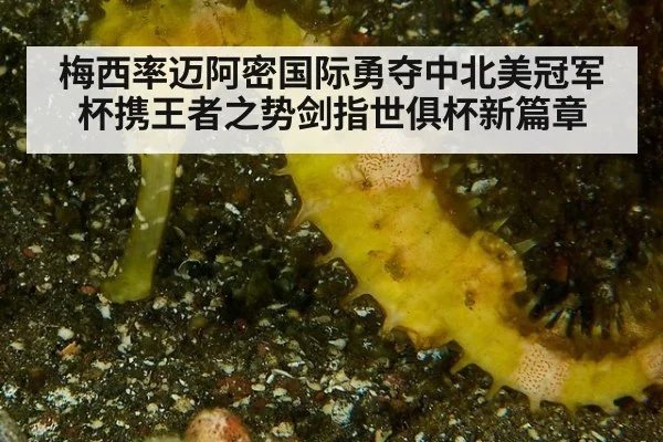 梅西率迈阿密国际勇夺中北美冠军杯携王者之势剑指世俱杯新篇章